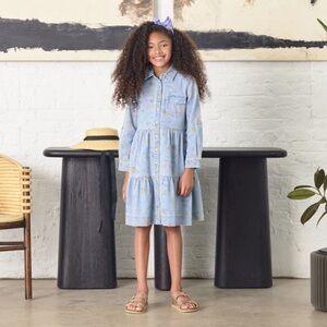 Porter- Light Blue Denim Purple Tan Floral Print Dress